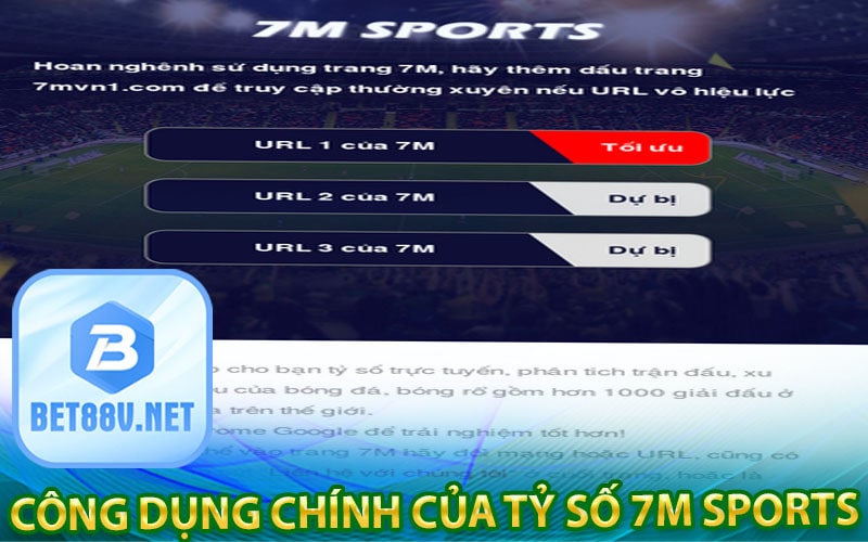 Công dụng chính của tỷ số 7m sports