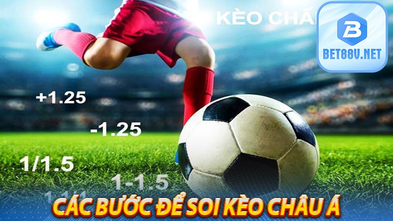 Các bước để soi kèo Châu Á chuẩn xác nhất